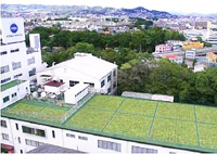伊丹サイト(屋上緑化)