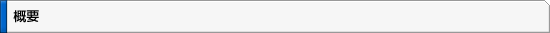 概要