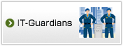 IT-Guardians
