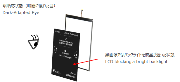 暗順応状態（暗闇に慣れた目）Dark-Adapted Eye 黒画像ではバックライトを液晶が遮った状態 LCD blocking a bright backlight