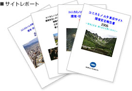 サイトレポート