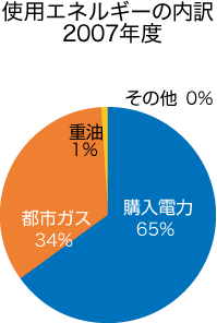 使用エネルギーの内訳 2007年度