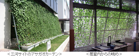 写真左：三河サイトのアサガオカーテン、右：居室内からの眺め