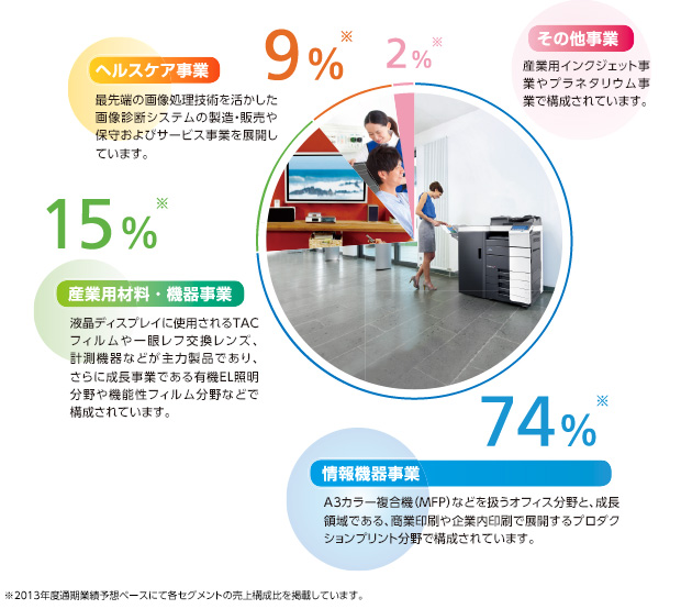 2013年度売上構成比