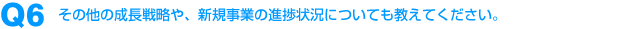 Q6：その他の成長戦略や、新規事業の進捗状況についても教えてください。