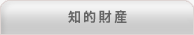 知的財産
