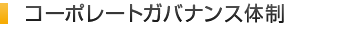 コーポレートガバナンス体制