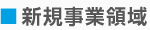 新規事業領域