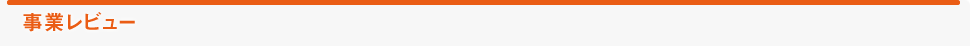 事業レビュー
