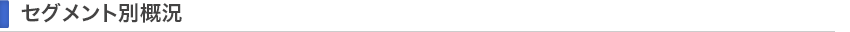 セグメント別概況