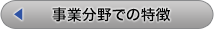 事業分野での特徴