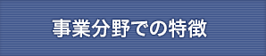 事業分野での特徴