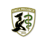 日本医師会の標準レセプト「ORCA」をサポート