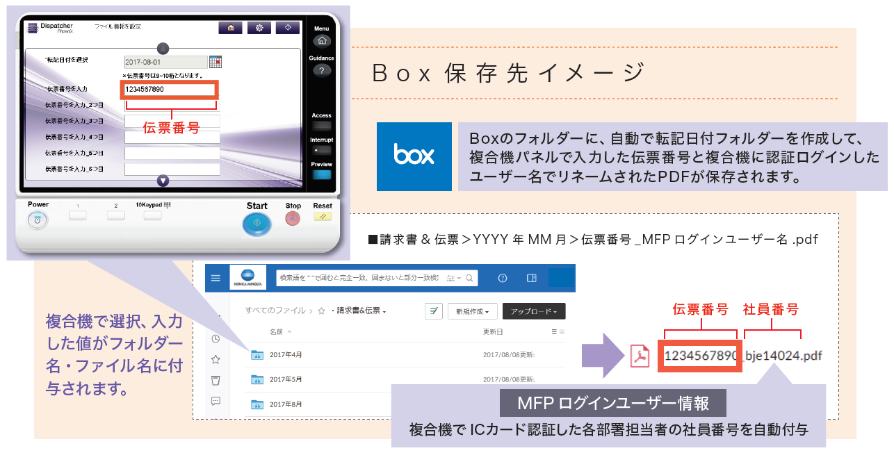 BOX 保存先イメージ