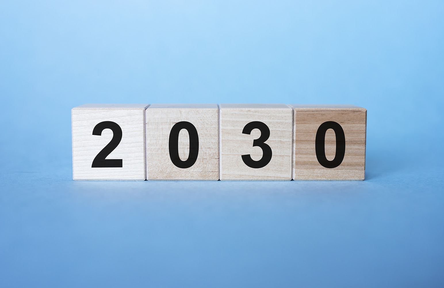 2030年問題とは何か？