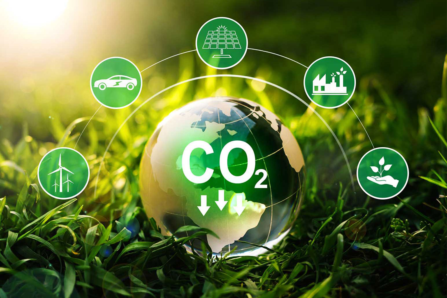 企業のSDGs導入状況は?実施の効果と必要性について改めて考える