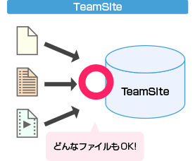 TeamSite：どんなファイルもOK！