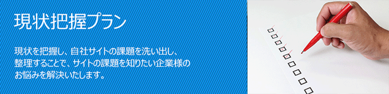 現状把握プラン 現状を把握し、自社サイトの課題を洗い出し、整理することで、サイトの課題を知りたい企業様のお悩みを解決いたします。