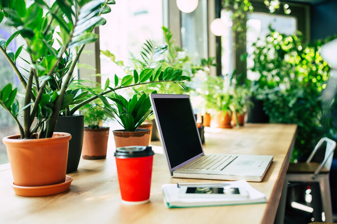 オフィスグリーンのイメージ