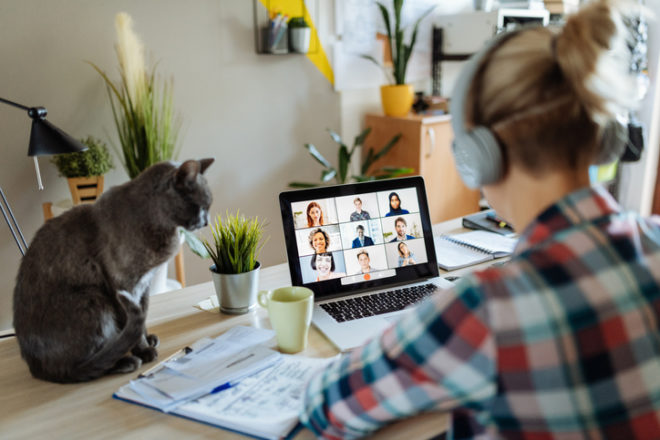 自宅でweb会議をしている女性と猫
