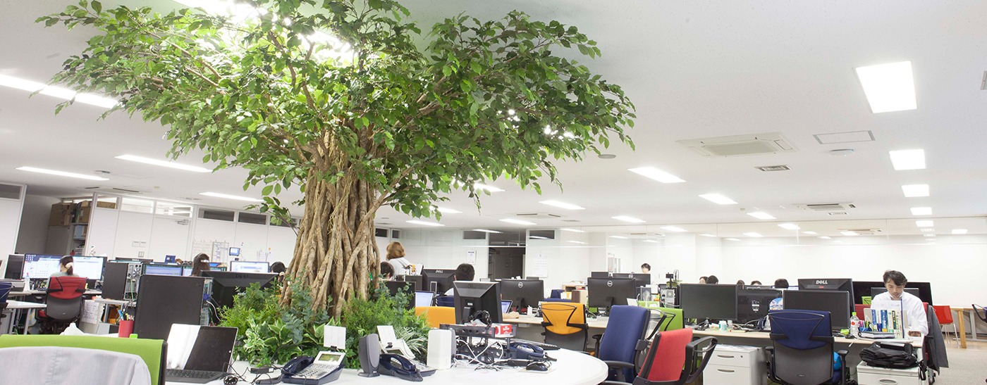 執務室に創業理念SAVE TREES!の象徴となる1本の木を配置。オフィスのどこからでも眺めることができます。