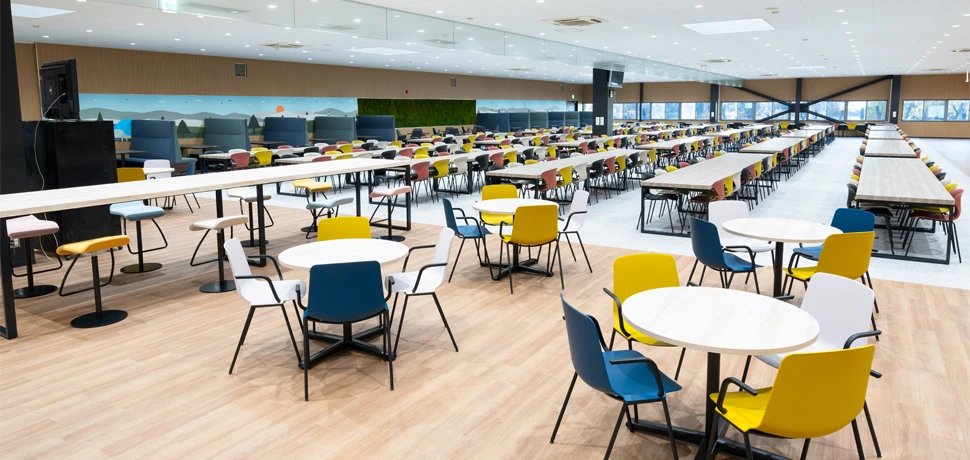 木目調とカラフルな什器で明るい雰囲気を演出する空間