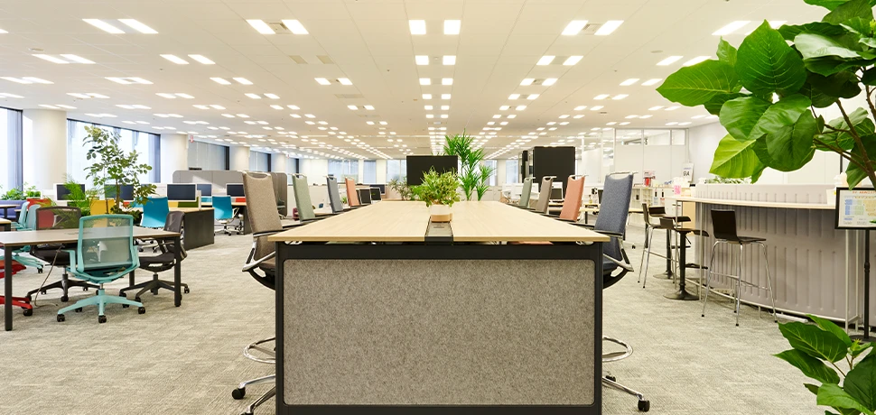 グリーンやカラフルな色味の什器で心地よく働ける執務エリア