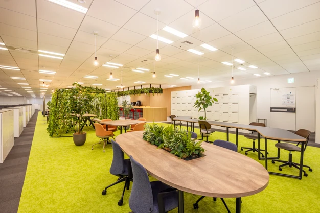 想像が膨らむカジュアルなキャンプエリア