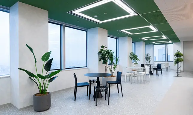 自然光と植栽が調和する開放的な執務エリア