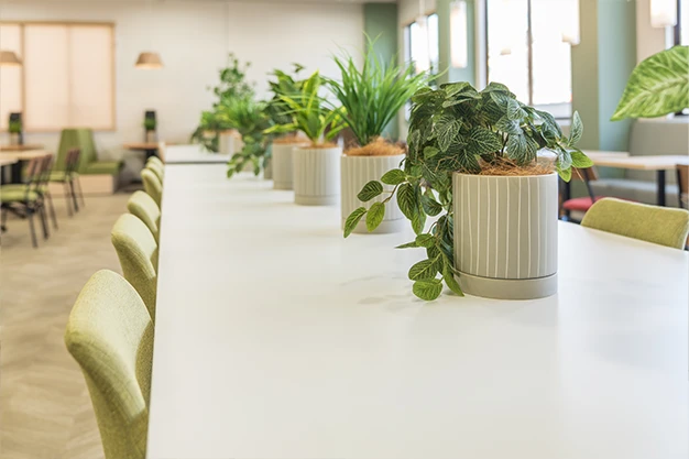 お手入れ不要なフェイクグリーンをふんだんに取り入れる。