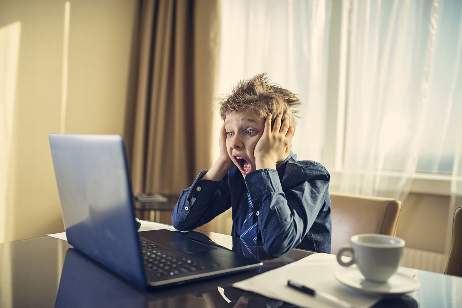 セキュリティー面での不安