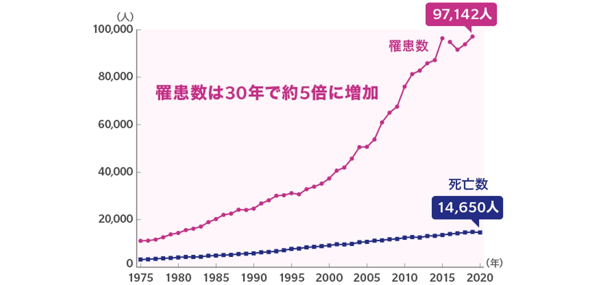 乳がん罹患数と死亡数の年次推移