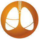 前立腺アイコン