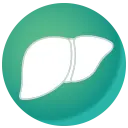 前立腺アイコン