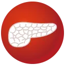 前立腺アイコン