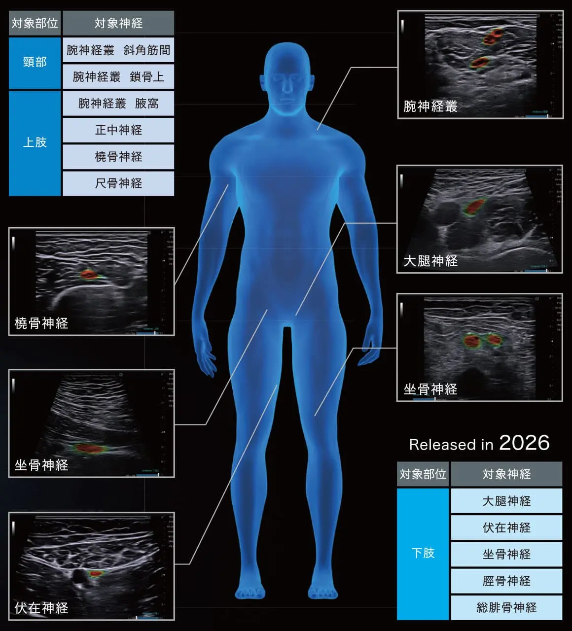 対象部位・対象神経