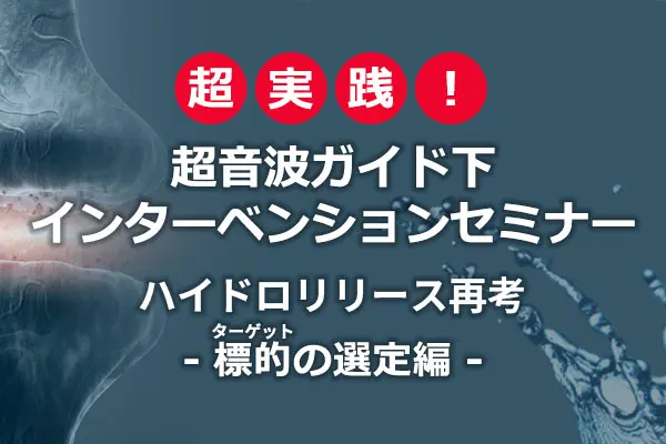 超実践！超音波ガイド下インターベンションセミナー ハイドロリリース再考　–標的（ターゲット）の選定編ｰ