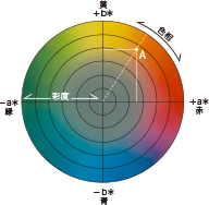 図2　※中心からの距離が彩度を表す