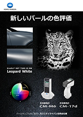 flyer_color_measure_cmm6_02