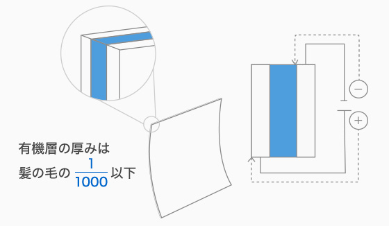 有機層の厚みはk髪の毛の1000分の一以下