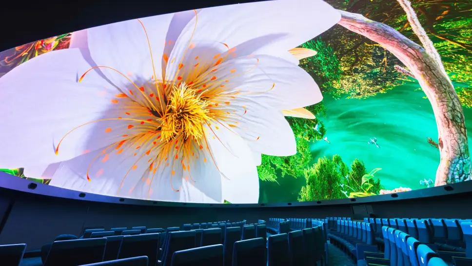 プラネタリウム・没入型体験施設