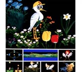 しらさぎ君の大冒険